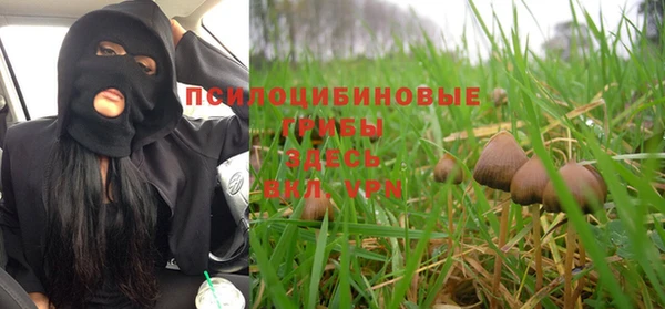 бутират Верхний Тагил